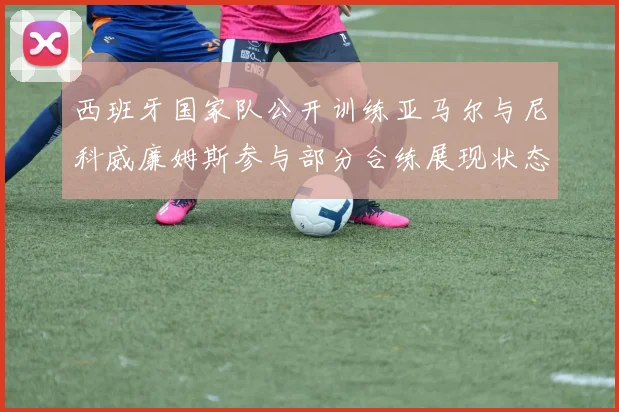 西班牙国家队公开训练亚马尔与尼科威廉姆斯参与部分合练展现状态