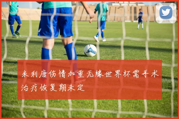 米利唐伤情加重无缘世界杯需手术治疗恢复期未定