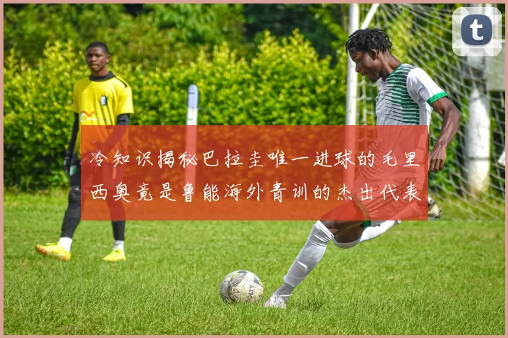 冷知识揭秘巴拉圭唯一进球的毛里西奥竟是鲁能海外青训的杰出代表